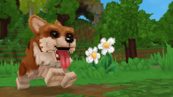 Hytale Modding